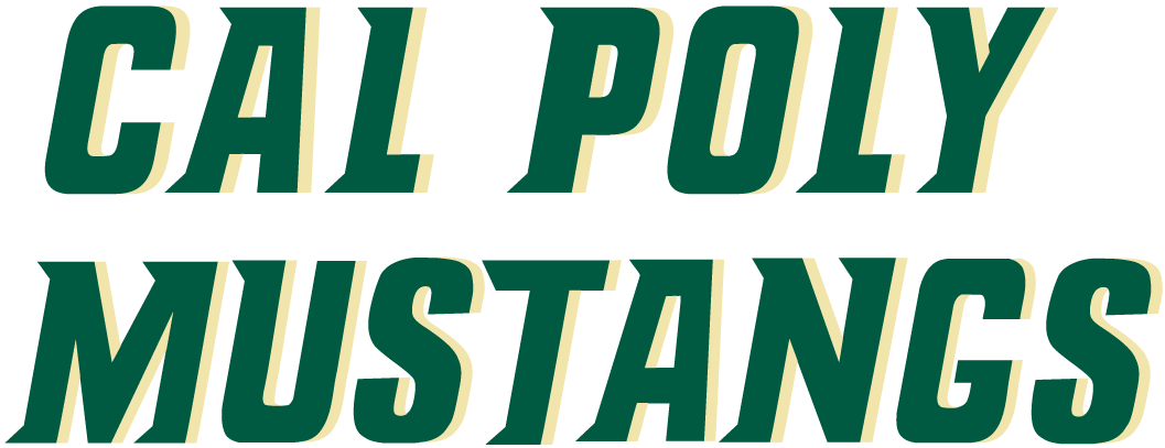 Cal Poly Mustangs 2000-2006 Wordmark Logo diy DTF decal sticker